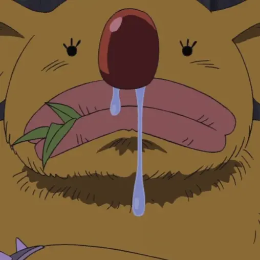 Minokoala